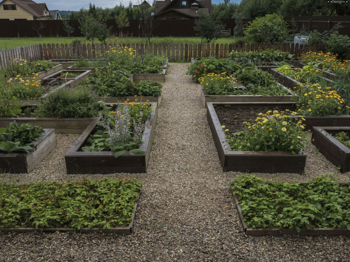 Landscaping of a summer residence