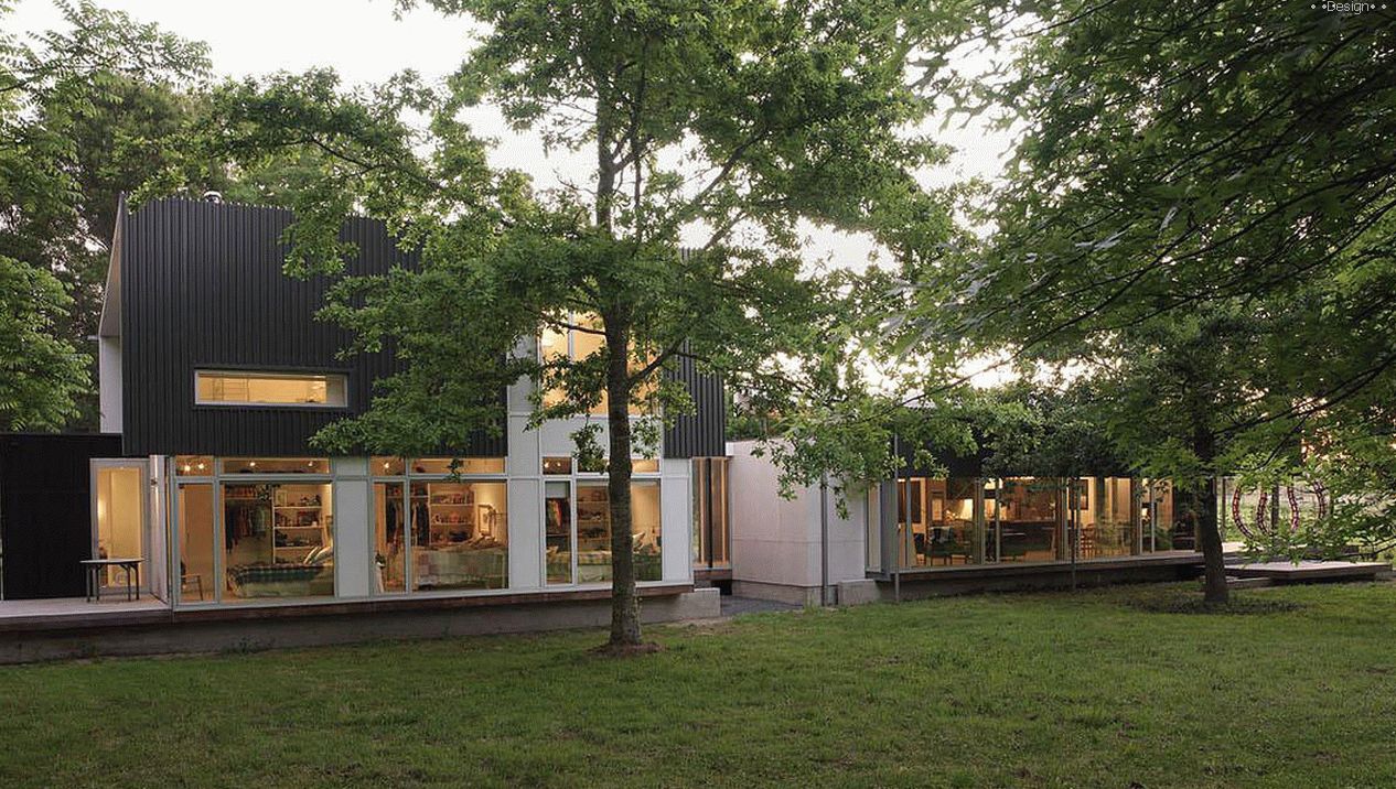 House in the New Zealand Deciduous Forest