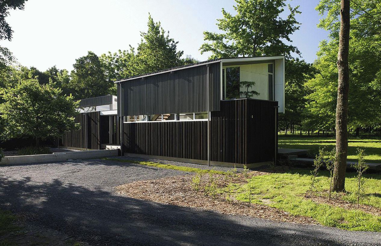 House in the New Zealand Deciduous Forest