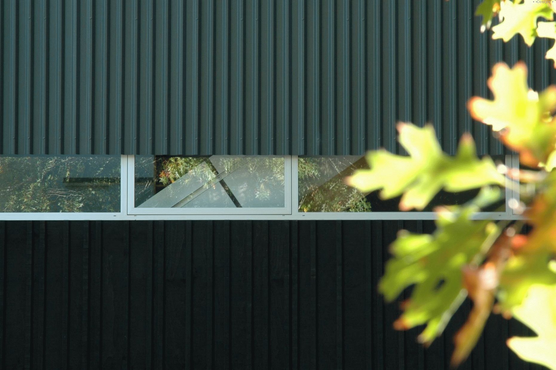 House in the New Zealand Deciduous Forest