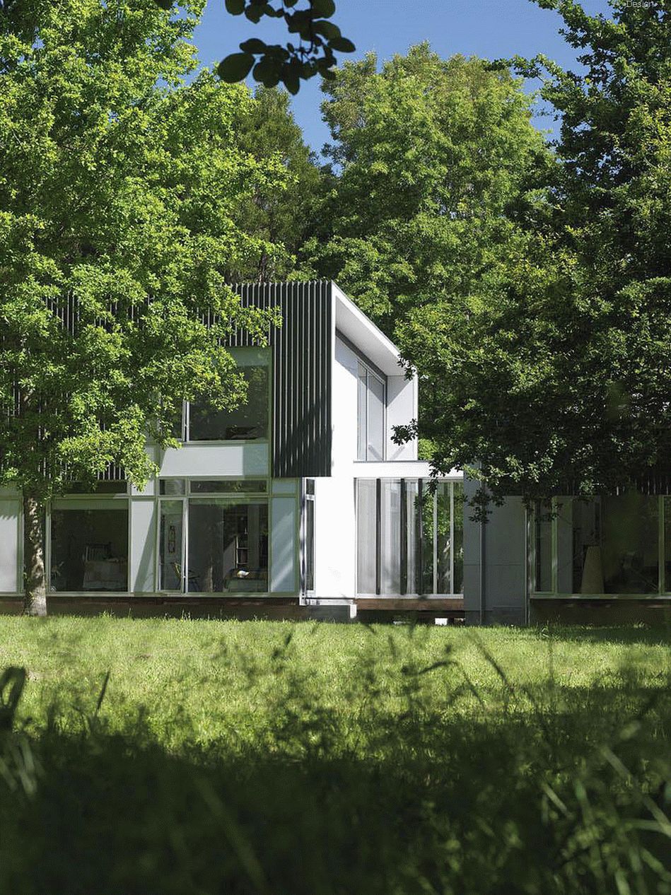 House in the New Zealand Deciduous Forest